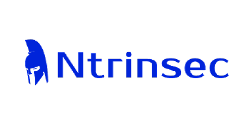 ntrinsec Logo